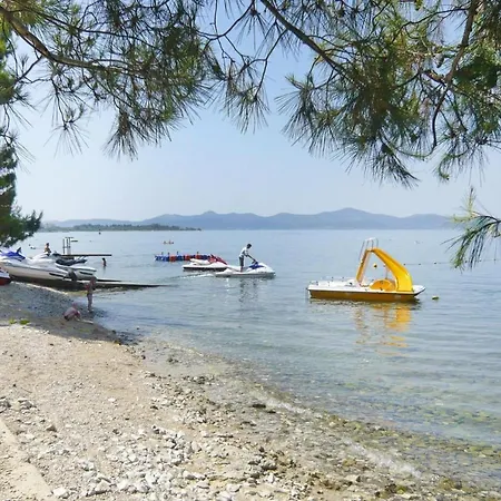Mijo Zadar-kozino - Cdn02063-dya